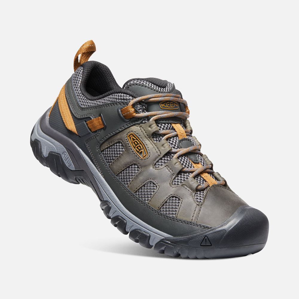 Keen Wandelschoenen Heren Zwart Bruin - Targhee Vent - 48976-ZYKV